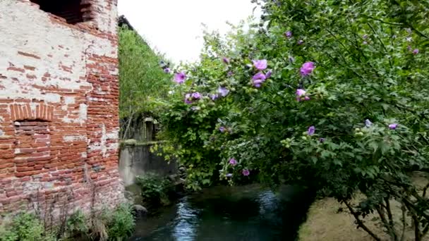 Drone Aerial Landscape Lilac Flowers Ancient Water Mill — Stok Video