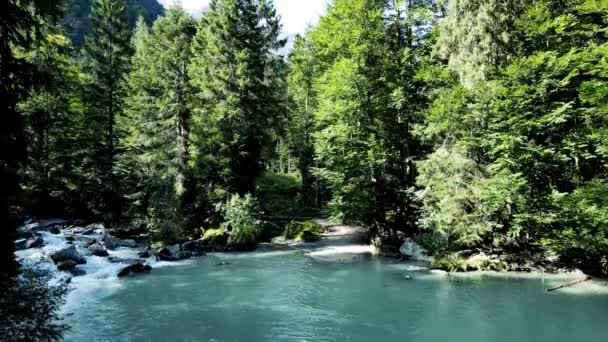 Drone Aéreo Vista Panorâmica Lago Alpino Nas Dolomitas — Vídeo de Stock