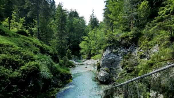 Drone Lotnicze Letni Krajobraz Dolomitów Kanionem Zieloną Wodą — Wideo stockowe