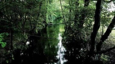 Hava Aracı - Ormanda deresi olan manzara