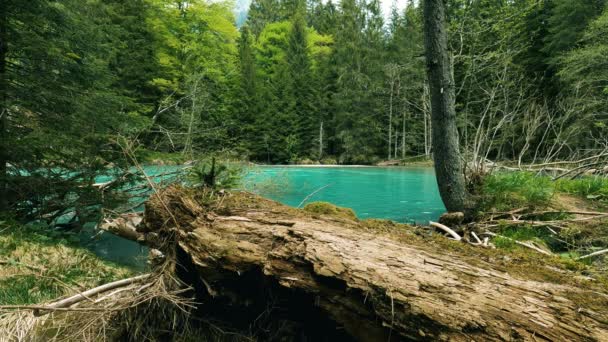 Panorama Sobre Lago Turquesa Amola — Vídeos de Stock