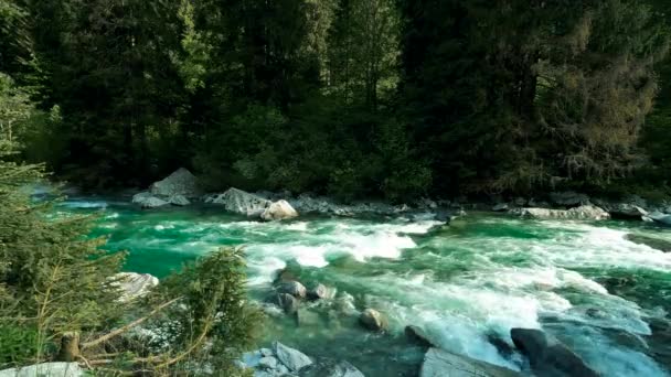 Sommerlandschaft Wald Der Dolomiten — Stockvideo