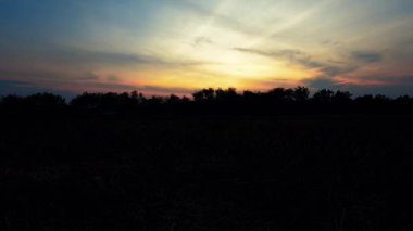  Zaman Kaynağı - Kuzey Avrupa Ormanı 'nda Görkemli Gün Batımı