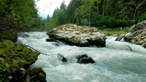 Paesaggio Alpino Nelle Dolomiti Con Rocce Muschio — Video Stock