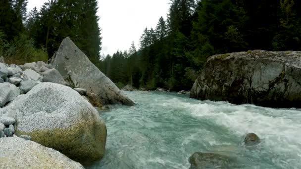 Alpine Landschaft Mit Bach — Stockvideo