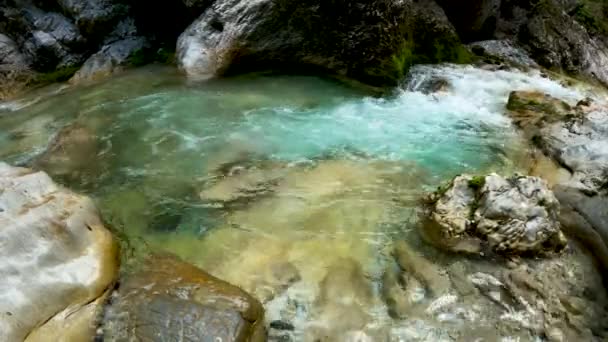 Krajobraz Alpejski Potokiem Turkusową Wodą — Wideo stockowe