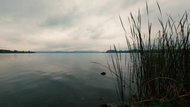 Krajobraz Jesienny Nad Jeziorem — Wideo stockowe