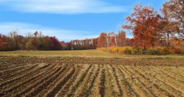 Hava Aracı - Kırsalda Sonbahar Renkleri