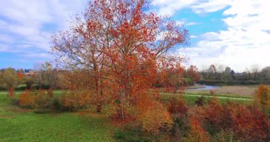 Hava Aracı - İtalya Legnano Parkı 'nda sonbahar manzarası