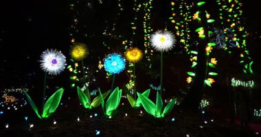  Noel Sahneleri - Peri Ormanında Parlak Renkli Çiçekler