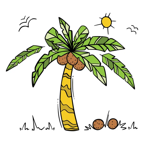 Palmsommerset Farbe Mit Handgezeichneten Elementen Kokosnuss Sonne Palmblättern Auf Weißem — Stockvektor