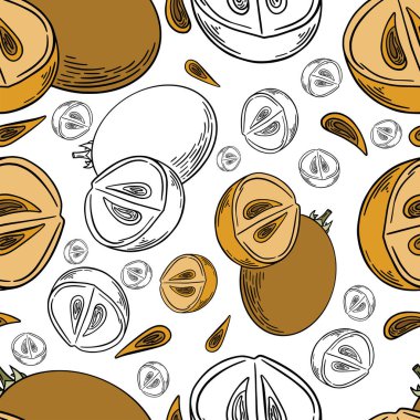 Sapodilla el çizimi kahverengi renkli ve siyah çizgiler beyaz arka planda tekstil, baskı, arka plan, röfleler için. Vektör illüstrasyonu