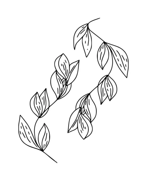 Ботанические Природные Тропические Листья Вручную Рисовали Изолированные Элементы Печати Обложки — стоковый вектор