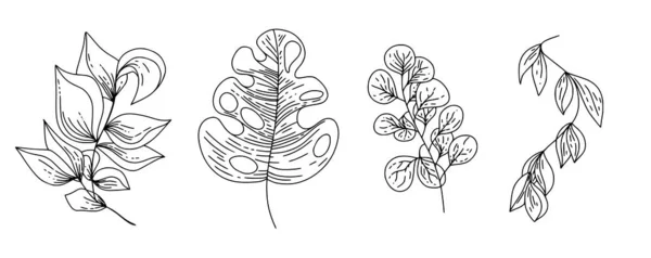 Ботанические Природные Тропические Листья Созданные Ручном Стиле Изолированные Элементы Печати — стоковый вектор