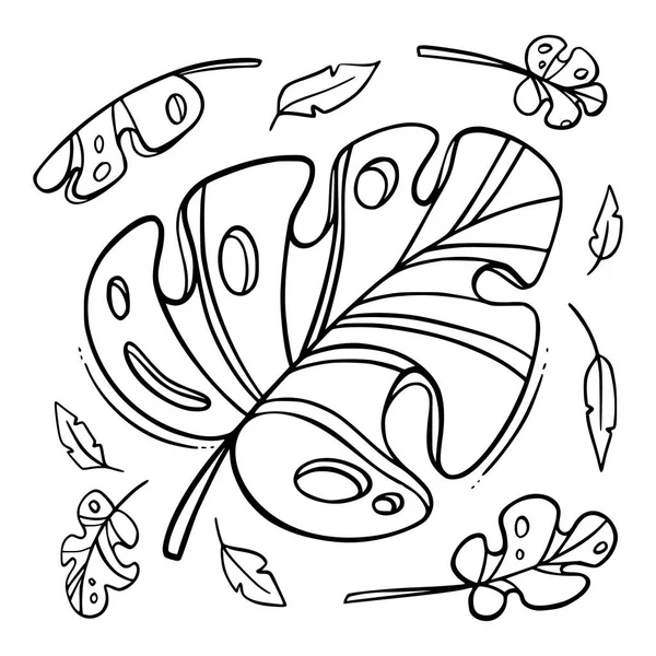 Листья Тропических Джунглей Monstera Установлены Белом Фоне Плоской Иллюстрации Рисованного — стоковый вектор