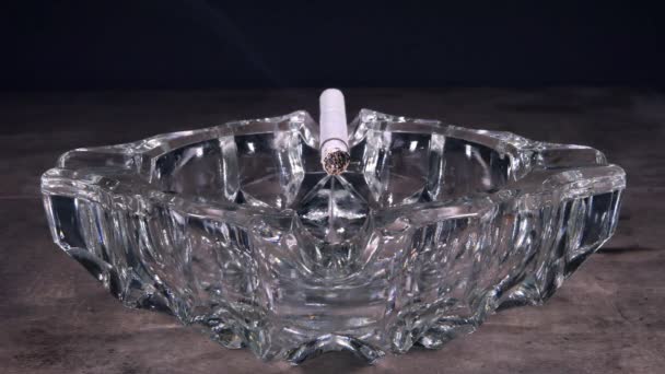 White cigarette butt lying in an glass ashtray. 4K — Stock Video