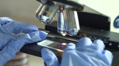 örnekleri ve sıvı incelenmesi