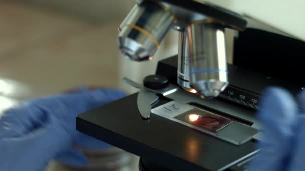 examen de l'échantillon et du liquide "