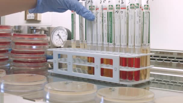 Tubos en el laboratorio — Vídeo de stock