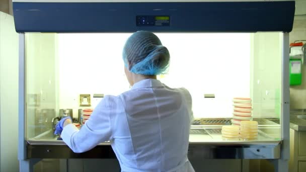 Ученые работают в лаборатории — стоковое видео