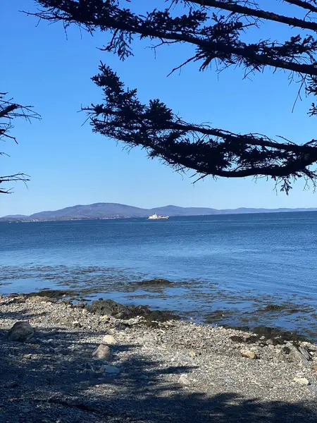Maines Utsikt Vacker — Stockfoto