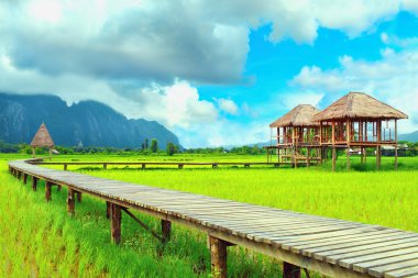 Yazlık Vang Vieng, Loas, pirinç tarlalarının ortasında
