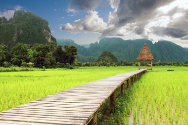 Ahşap çardak ve pirinç alanlarını Vang Vieng, Loas