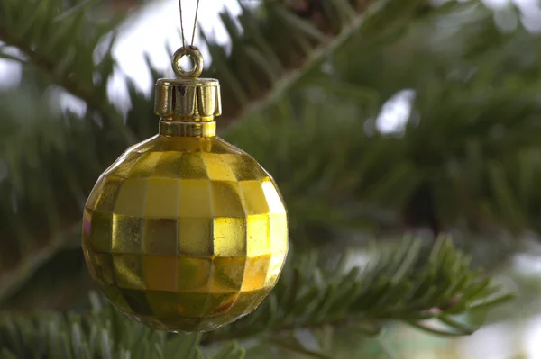 Christmas Tree Macro — Stock Photo, Image