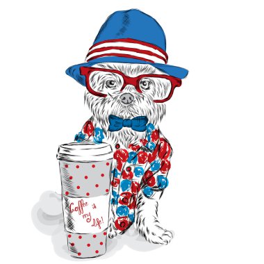Köpek hippi. Şirin köpek yavrusu vektör. Köpek giyim. Safkan köpek. Tebrik kartı ile bir köpek. Bichon Frise. Köpeği. Bir şapka ve bir fincan kahve bir köpek. Kahve.