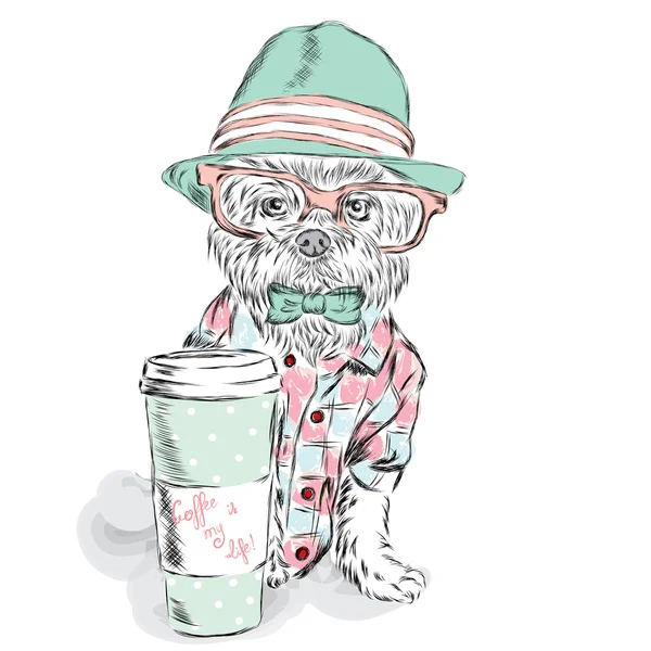 The dog hipster. Cute puppy vector. Dog clothing. Pedigree dog. Greeting card with a dog. Bichon Frise. Lapdog. A dog in a hat and a cup of coffee. Coffee. — Stock Vector