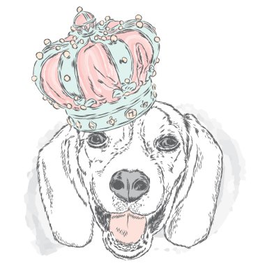 Komik köpek bir taç giyen. Vektör çizim için tebrik kartı, poster ya da baskı dökmeyin. Köpek - bir prenses.