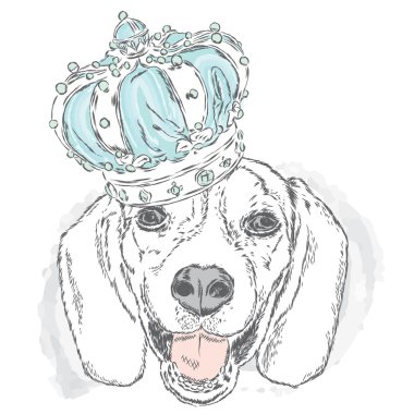 Komik köpek bir taç giyen. Vektör çizim için tebrik kartı, poster ya da baskı dökmeyin. Köpek - bir prenses.