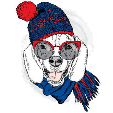 Şirin köpek yavrusu bir şapka ve atkı takmış. Vektör çizim için tebrik kartı, poster ya da baskı dökmeyin. Köpek giyim. Moda ve stil.