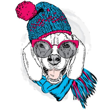 Şirin köpek yavrusu bir şapka ve atkı takmış. Vektör çizim için tebrik kartı, poster ya da baskı dökmeyin. Köpek giyim. Moda ve stil.