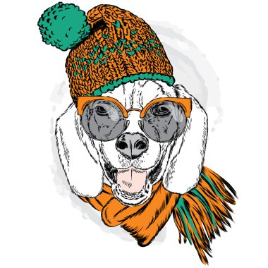 Şirin köpek yavrusu bir şapka ve atkı takmış. Vektör çizim için tebrik kartı, poster ya da baskı dökmeyin. Köpek giyim. Moda ve stil.