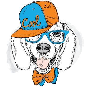 Bir şapka ve güneş gözlüğü takan komik köpek . Bir kart veya poster için vektör çizimi. Giysi veya aksesuarlar üzerinde baskılar . Serin köpek .