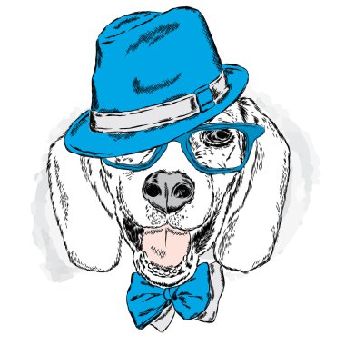 Komik köpek şapka ve gözlük. Vektör çizim tebrik kartları, posterler veya parmak dökmeyin. Komik köpek.