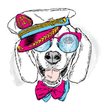 Komik köpek kap ve gözlük. Denizci. Vektör çizim için tebrik kartı, poster ya da baskı dökmeyin. Komik köpek.