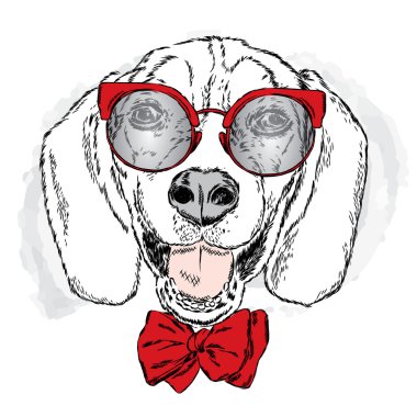 Komik köpek ile gözlük ve kravat. Vektör çizim için tebrik kartı, poster ya da baskı dökmeyin. Komik köpek.