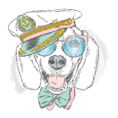 Komik köpek kap ve gözlük. Denizci. Vektör çizim için tebrik kartı, poster ya da baskı dökmeyin. Komik köpek.