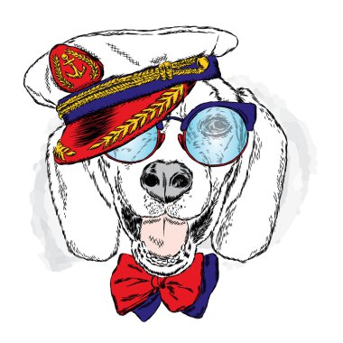 Komik köpek kap ve gözlük. Denizci. Vektör çizim için tebrik kartı, poster ya da baskı dökmeyin. Komik köpek.