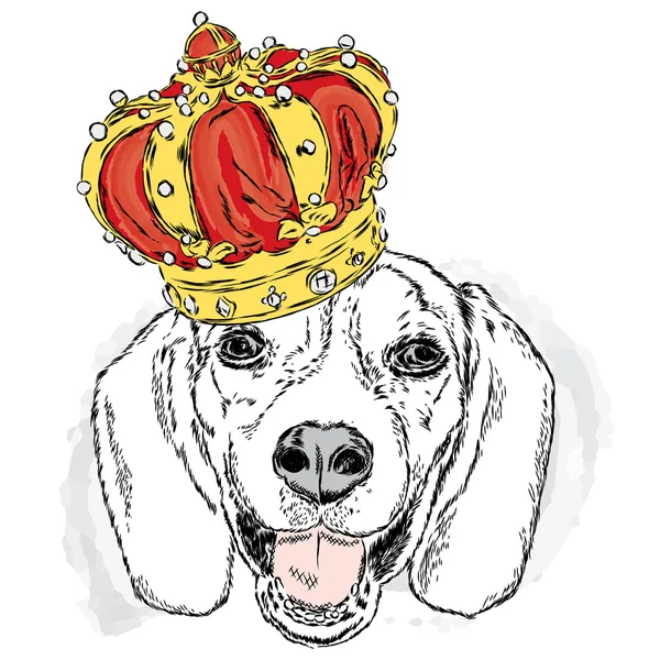 Noszenie korony zabawny pies. Ilustracja wektorowa dla karty z pozdrowieniami, plakatu lub drukowanie na ubraniach. Pies - księżniczka. — Wektor stockowy
