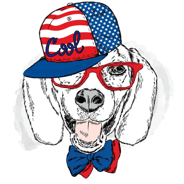 Vicces kutya visel sapkát és napszemüveget. A kártya vagy poszter vektorképe. Kiírja a ruhákat és kiegészítőket. Hűsítő kutya . — Stock Vector