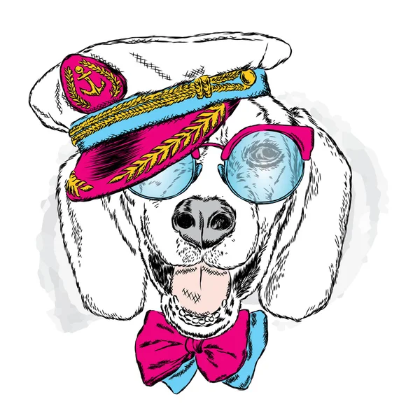Komik köpek kap ve gözlük. Denizci. Vektör çizim için tebrik kartı, poster ya da baskı dökmeyin. Komik köpek.