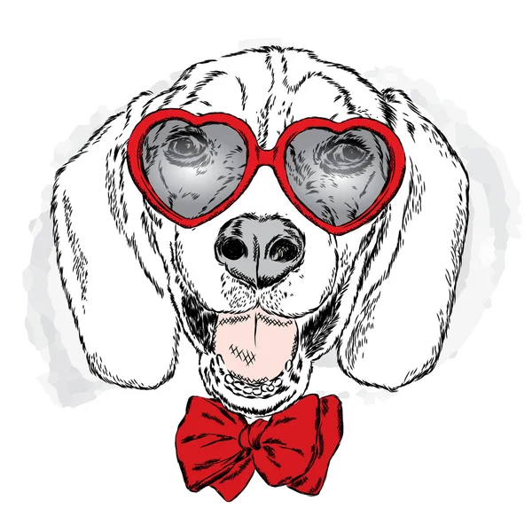 Divertido perro con gafas y corbata. Ilustración vectorial para tarjeta de felicitación, póster o impresión en ropa . — Vector de stock