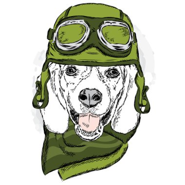 Komik köpek bir kask ve eşarp takıyor. Motorcu veya pilot. Vektör çizim için tebrik kartı, poster ya da baskı dökmeyin. Komik köpek.
