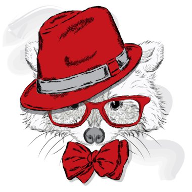 Şirin Rakun şapka ve güneş gözlüğü. Hayvan giyim. Hipster.