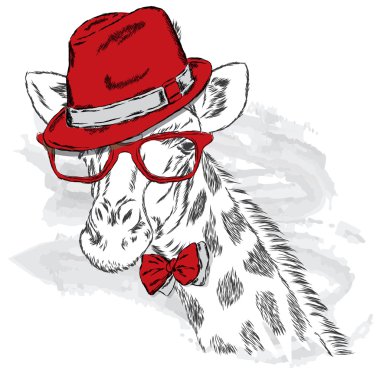 Zürafa bir şapka ve güneş gözlüğü. Vektör.