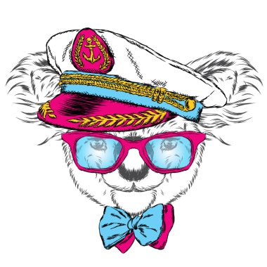 Kaptan'ın şapkalı Koala. Vektör çizim.