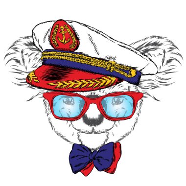 Kaptan'ın şapkalı Koala. Vektör çizim.